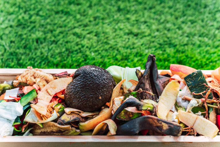 restaurant food waste